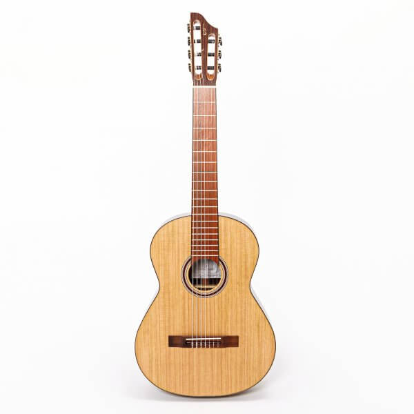 Guitarra de siete cuerdas - Indian Rosewood, con estuche APC A170041