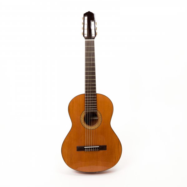 Guitarra de siete cuerdas Simples - acústica Artimusica A171060
