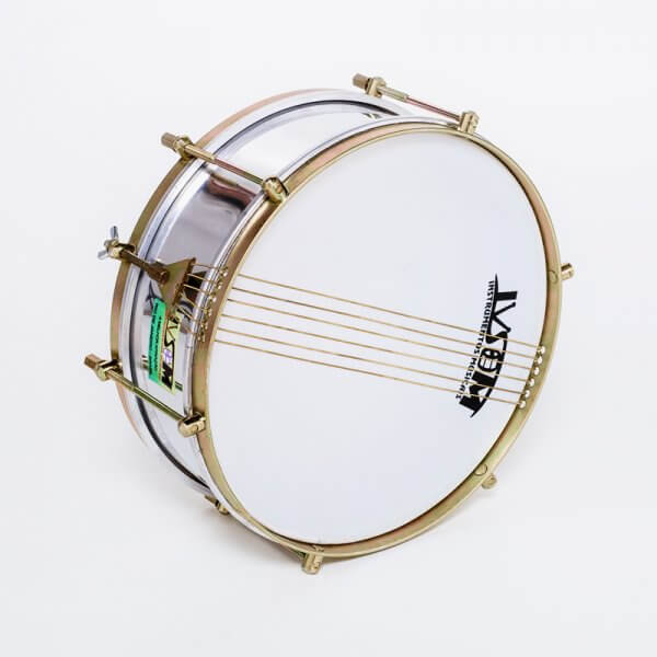 Tarol 12"x 10cm - 6 strings Ivsom A110221
