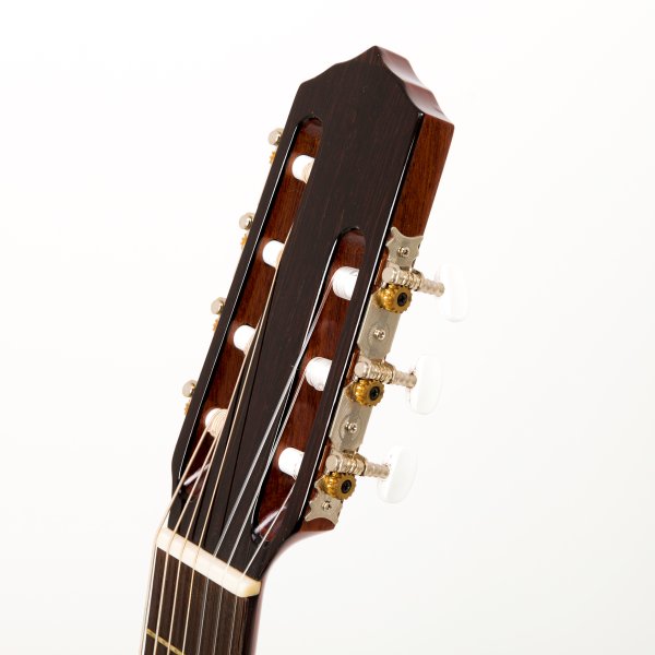 Siebensaitige Gitarre Simples - akkustisch Artimusica A171060