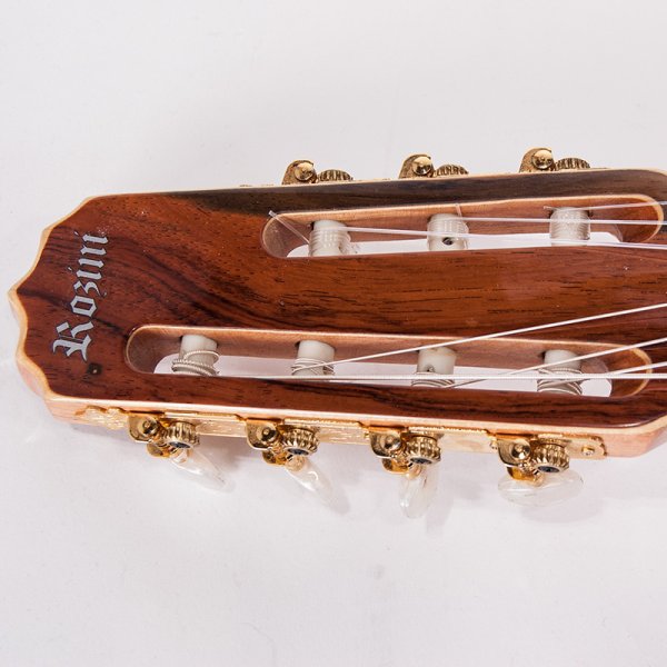 Siebensaitige Gitarre PRO - akustisch Rozini A316120