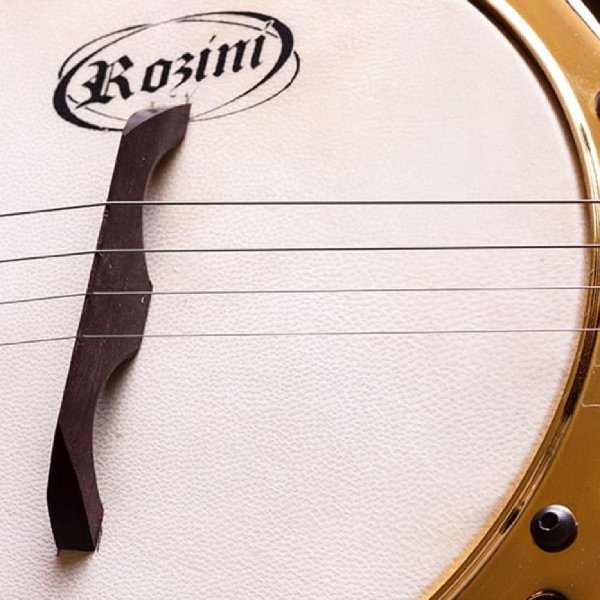 Banjo Pro Eléctrico Maple Rozini A316415
