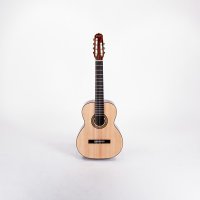 Siebensaitige Gitarre PRO - akustisch
