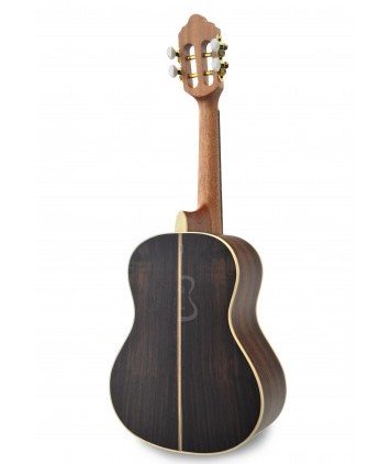 Cavaquinho Luthier acustico mit Tasche APC A170012