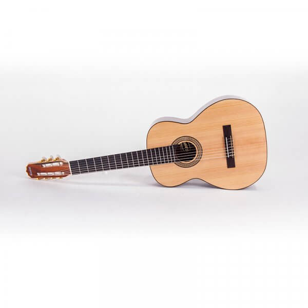 Siebensaitige Gitarre Profissional Rozini A316120