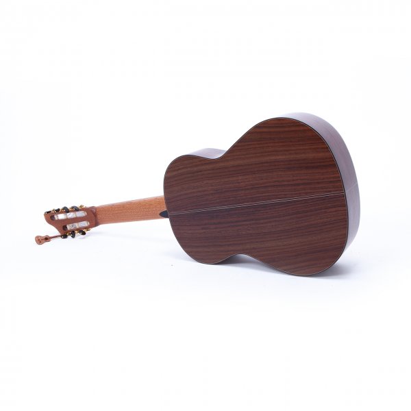 Guitarra de siete cuerdas - Indian Rosewood, con estuche APC A170041