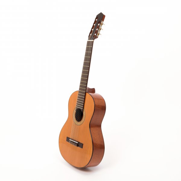 Seven string guitar Simples - acoustic Artimusica A171060
